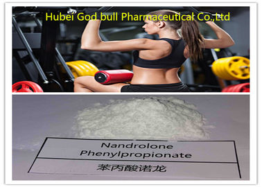 China Aptidão de amontoamento do esteroide do ciclo do pó de Phenylpropionate 62-90-8 do Nandrolone fornecedor