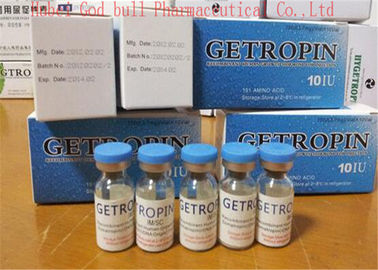 China Hormona de crescimento ISO9001 antienvelhecimento do ser humano dos esteroides anabólicos de Getropin 10iu HGH fornecedor