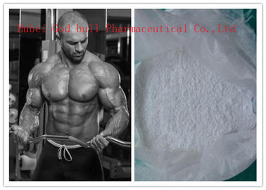 China Testosterona do body building da pureza de 98%/testosterona Phenylpropionate CAS 1255-49-8 fornecedor