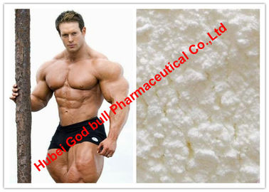 China Assy do esteroide anabólico da testosterona farmacêutica/da hormona 99% ganho de Muslce, ISO9001 fornecedor