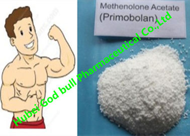 China Músculo androgênico Primobolan dos esteroides anabólicos 207-097-0 do acetato de Methenolone fornecedor