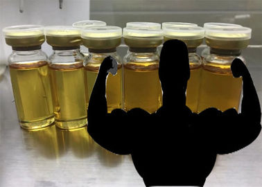 China Teste a testosterona misturada injetável 500mg/ml dos esteroides anabólicos da mistura 500 fornecedor