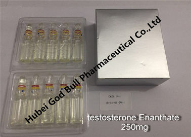 China qualidade super anabólica injetável da injeção 250mg/ml 1ml/vial dos esteroides do enanthate da testosterona fornecedor