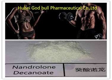China 360-70-3 esteroide de Deca Durabolin, músculo médico que constrói esteroides anabólicos fornecedor
