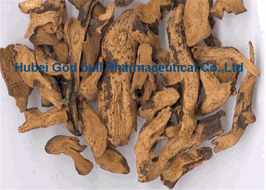 China Amarelo acastanhado do pó 1-1-38 erval do extrato de Rhizoma Drynariae para a dor da liberação fornecedor