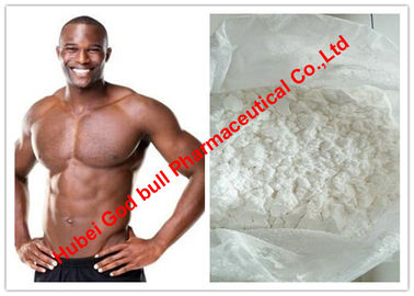 China Testosterona Undecanoate/baixo esteroide anabólico com pureza de 99%, pó branco da testosterona fornecedor