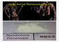 360-70-3 esteroide de Deca Durabolin, músculo médico que constrói esteroides anabólicos fornecedor