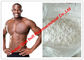 Testosterona Undecanoate/baixo esteroide anabólico com pureza de 99%, pó branco da testosterona fornecedor